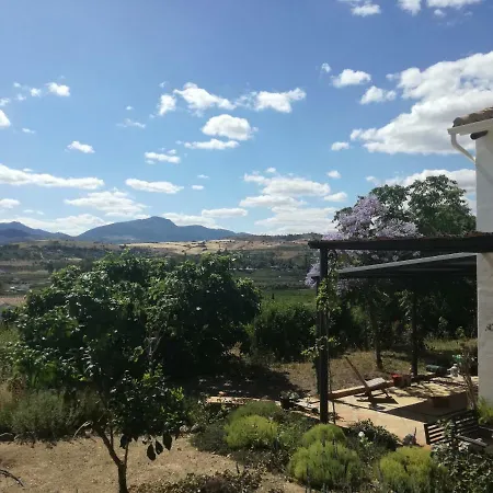 Los Almeces Pizarra